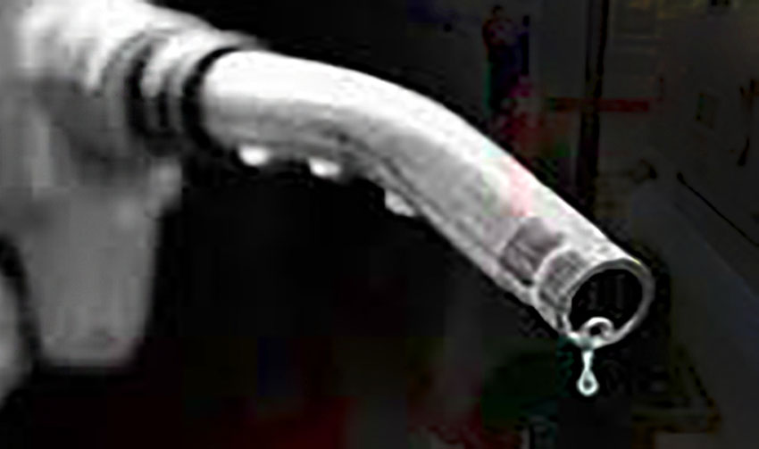 bio_solar copy