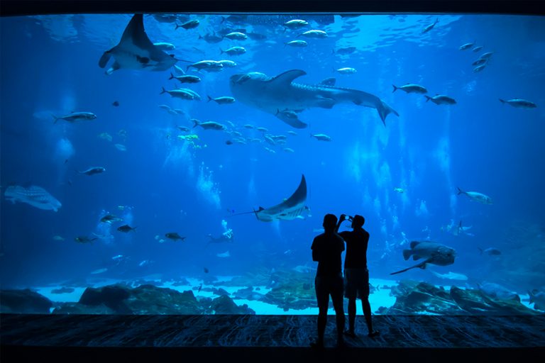Aquaria KLCC