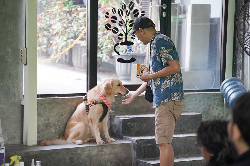 FOTO PENDUKUNG 4