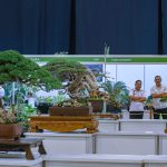 IMG_4671 copy