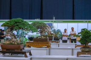 IMG_4671 copy