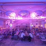 WhatsApp Image 2025-11-18 at 09.04.14