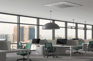 WhatsApp Image 2025-12-22 at 17.05.39