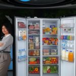 Zelda_shaellia_Fill_the_inside_of_the_open_refrigerator_with_realistic,_everyday_3ab4aae8-3ebc-438a-923f-58b7fd7e4aa6