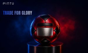 pintu bola